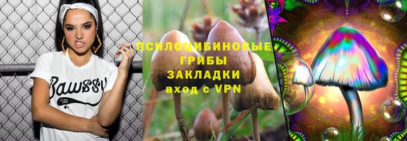 Галлюциногенные грибы Cubensis Адыгейск